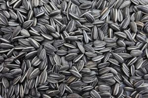 sunflower seeds