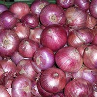 fresh onions