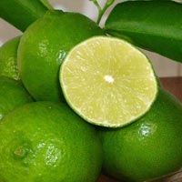 Lemon Seedless from Vietnam