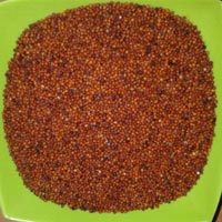 ragi finger millet