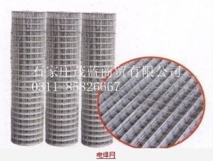 Welded Wire Mesh