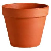 Plant Pots