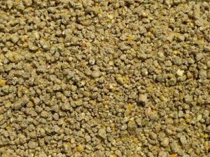 Broiler Poultry Feed