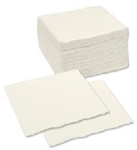 Paper Napkin