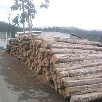 Ecuador Rough Square Logs