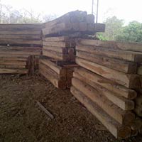 Ecuador Sagwan, Teakwood Semi Blocks