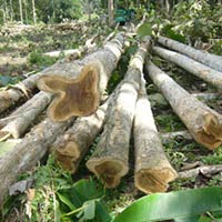 Malaysia Origin Sagwan, Teak, Teak Wood