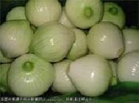 yellow onion