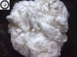 raw cotton