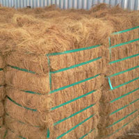 Coconut Coir Fiber