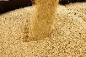 soybean meal,  Type : Animal Feed