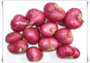 Red Shallot