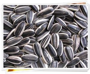 sunflower seeds