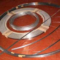 Turbine Steel Sealing Strip