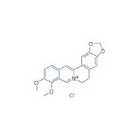 Berberine Hcl Usp Api