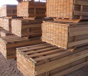 Hardwood Lumbers