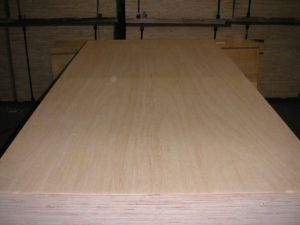 Oversized Plywood Sheets