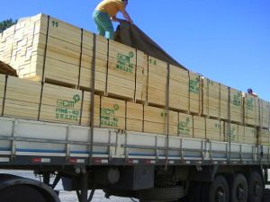 Pine Wood Lumber