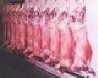 Halal Cameroon Sheep, Lamb, Mutton Livers