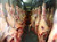 Halal Goat Meat, Halal Lamb Meat, Halal Mutton Meat