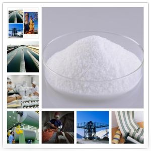 Anionic Polyacrylamide