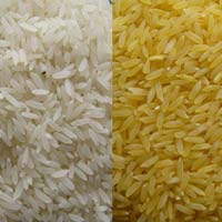 Basmati & Non Basmati Rice