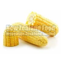 dry yellow corn