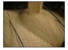 Soybean Meal