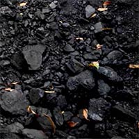 Nagaland Coal