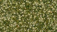 Split Green Moong Lentils
