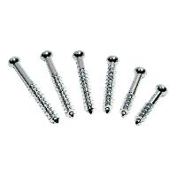 Bone Screws