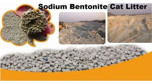 Bentonite Clumping Cat Litter
