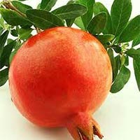 Fresh Bhagwa Pomegranate