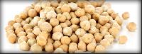 Indian Chickpeas