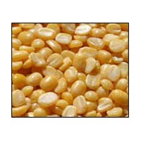 yellow maize seeds