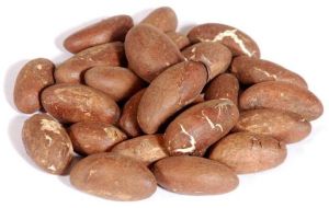 Bitter Kola Nuts