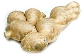 fresh ginger fresh ginger