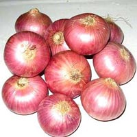 fresh onions