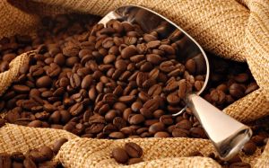 coffee beans,  Country of Origin : India
