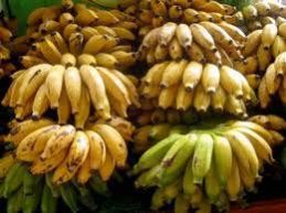 Fresh Latundan Banana