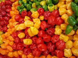 Fresh, Organic & Preserved Vegetables