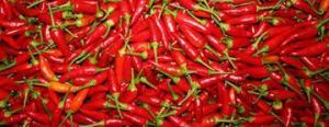 Chilli