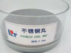 Stainless Steel Shot