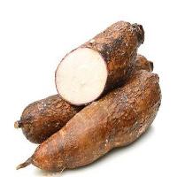 Cassava