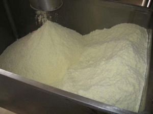 full cream milk powder,  Milk Powder Type : Full Cream Milk Powder