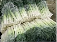 Vegetable Packing Material