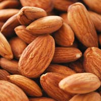 High Quality Organic Almond Nuts