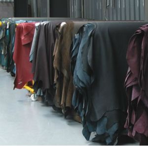 Crust and Finished Leather