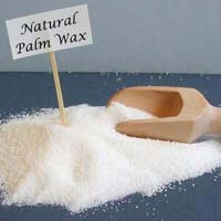 Palm Wax