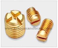 Brass Screws